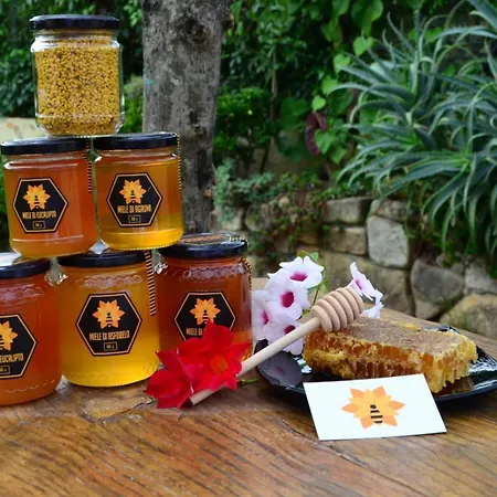 Casa 14 קסטיאדס